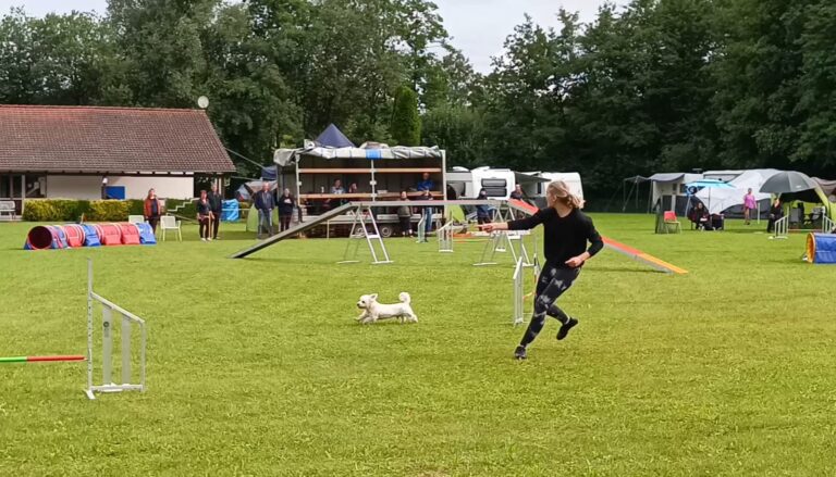 2024:07 agility turnier