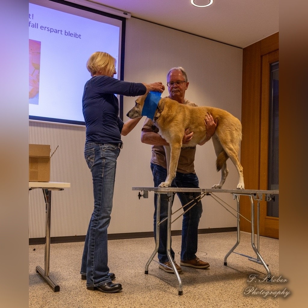 erste hilfe kurs 5