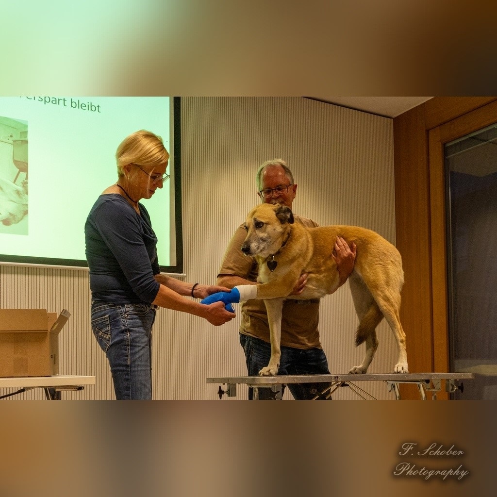 erste hilfe kurs 6