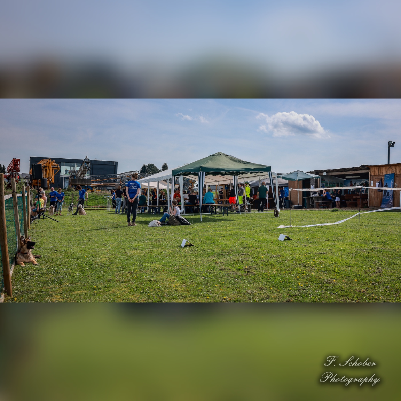 hundesporttag 10