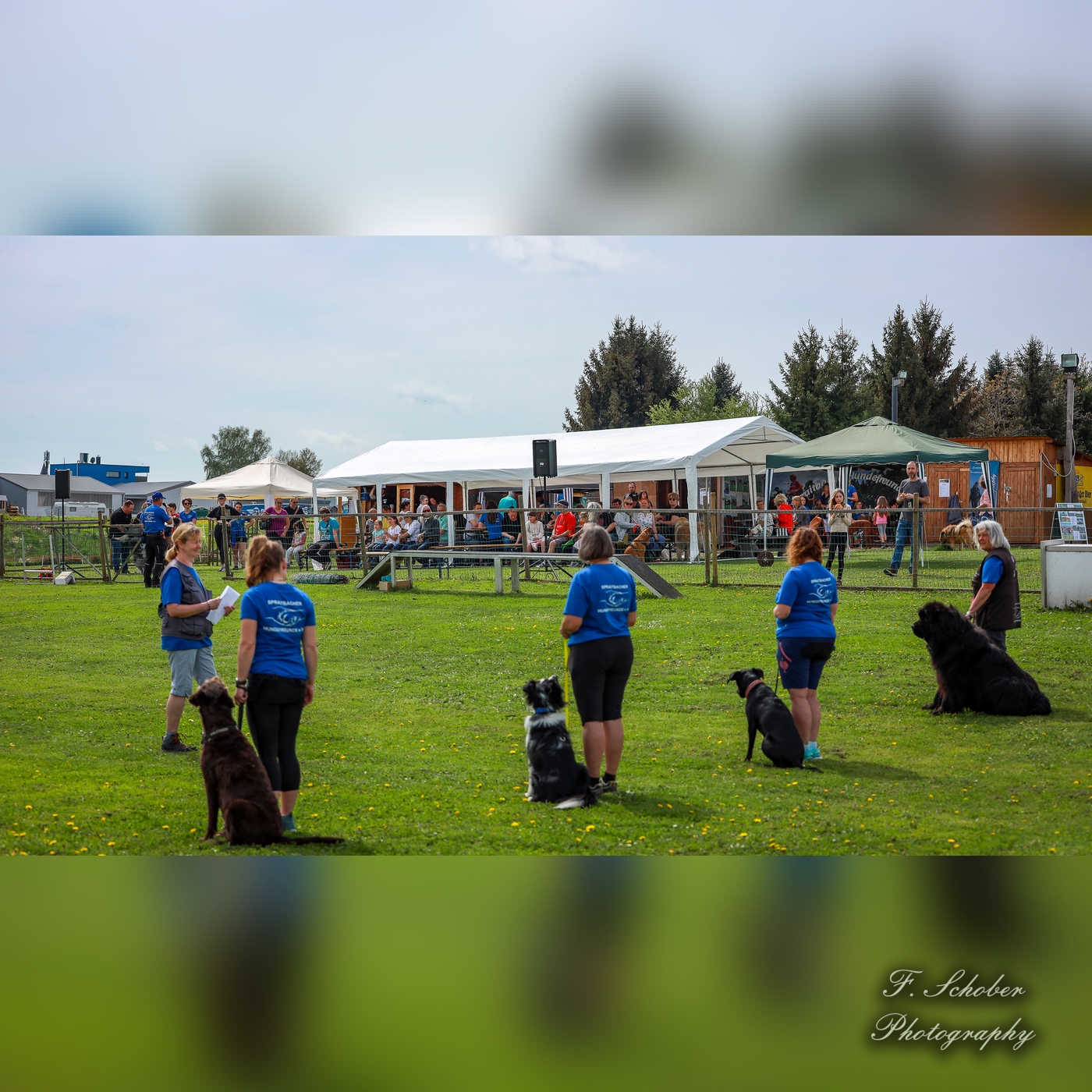 hundesporttag 12