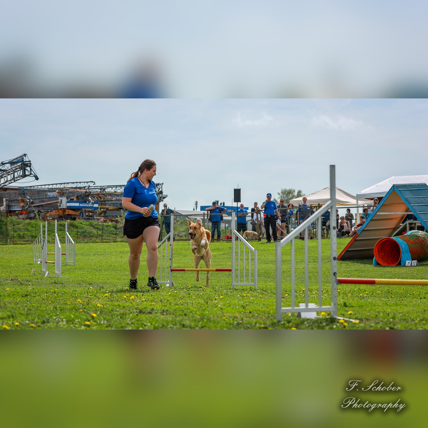 hundesporttag 13