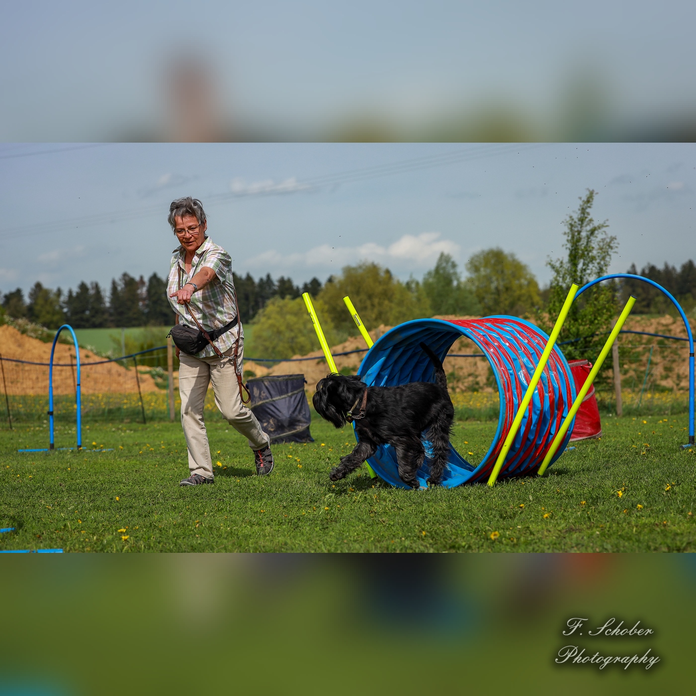 hundesporttag 14