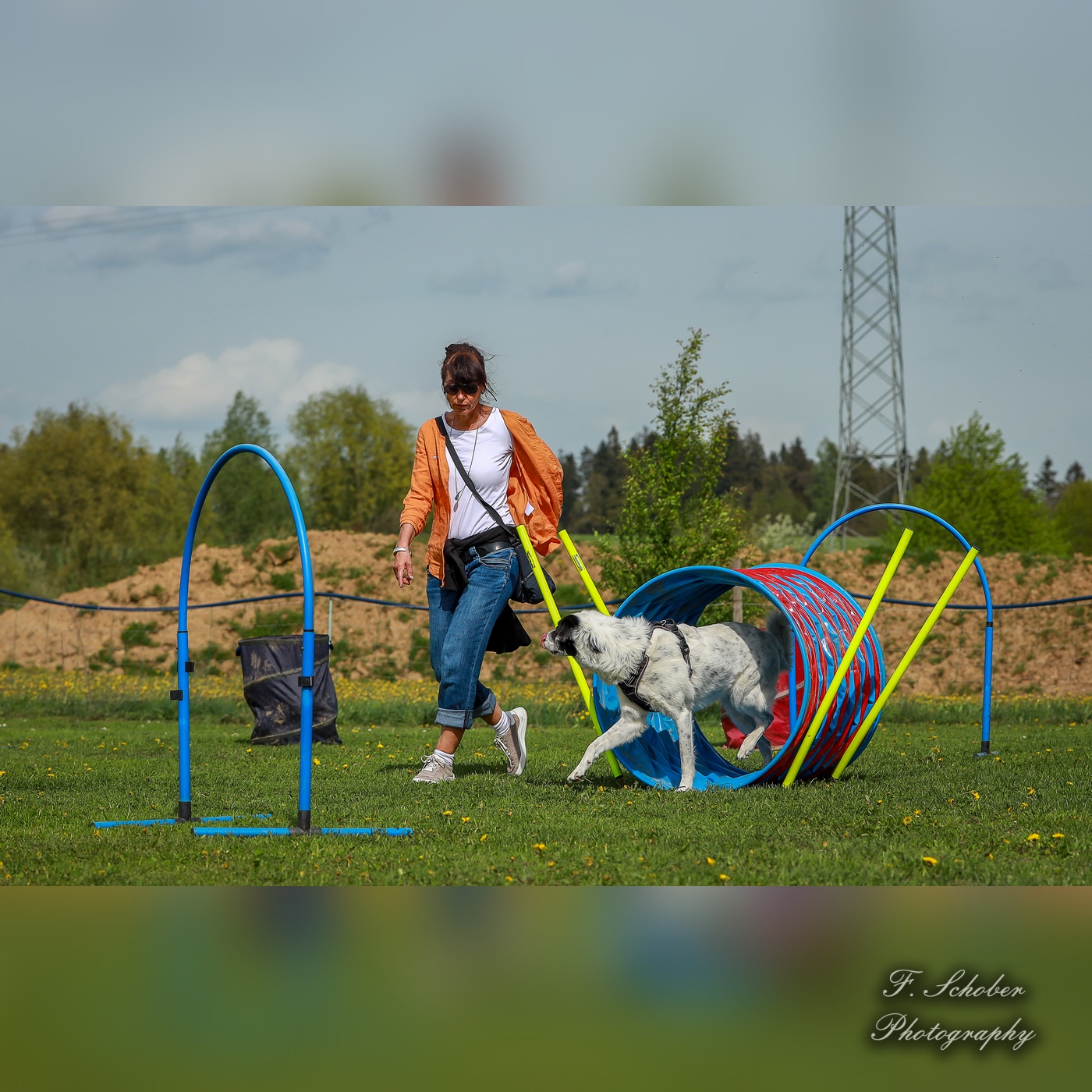 hundesporttag 15