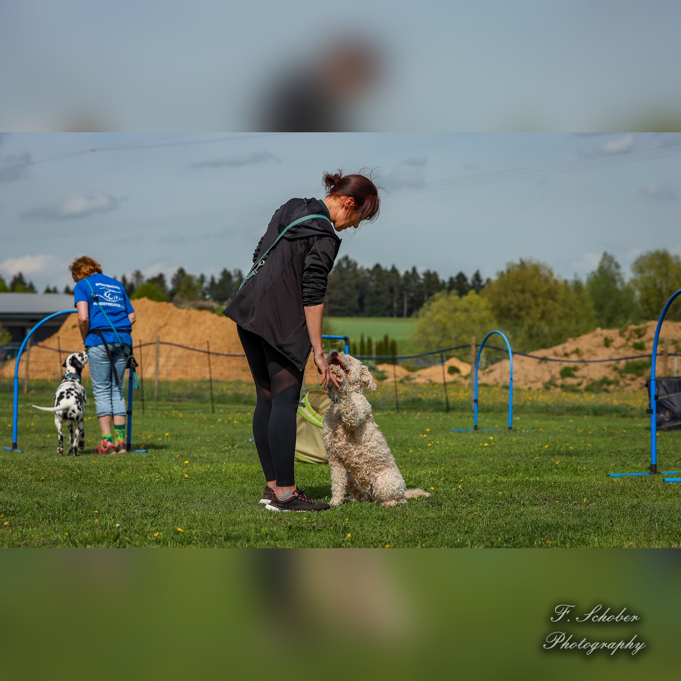 hundesporttag 16