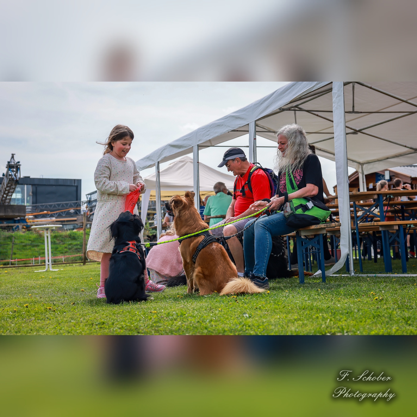 hundesporttag 2