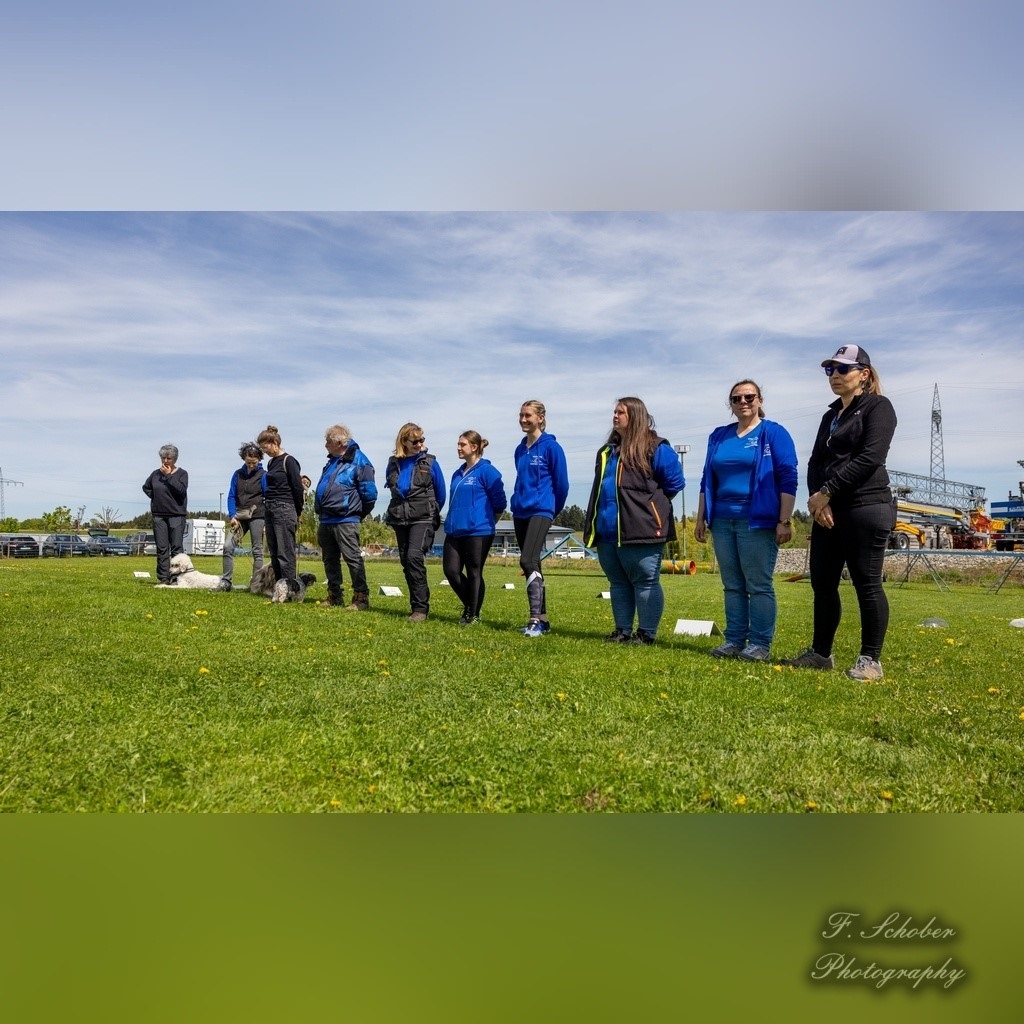 hundesporttag 2