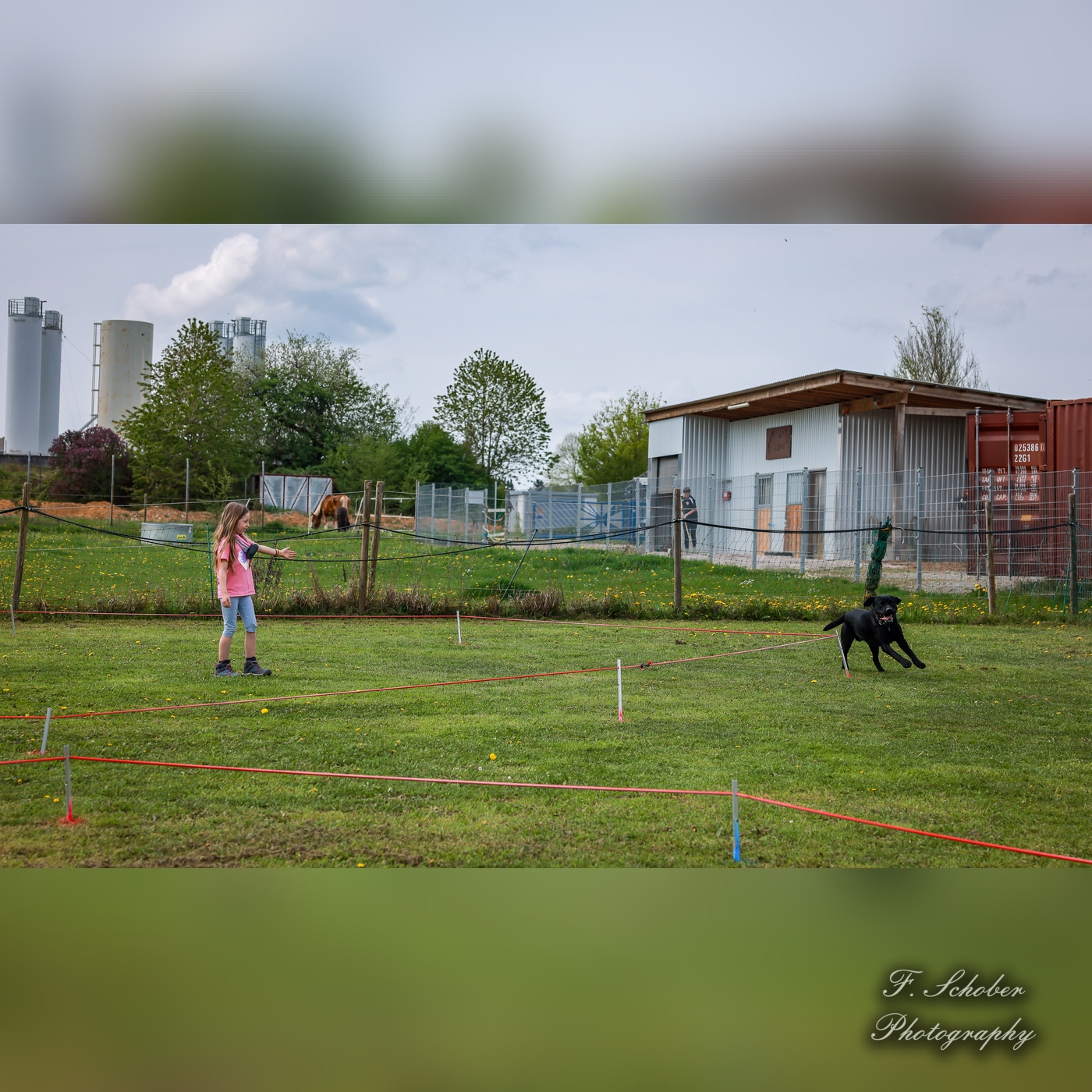 hundesporttag 3