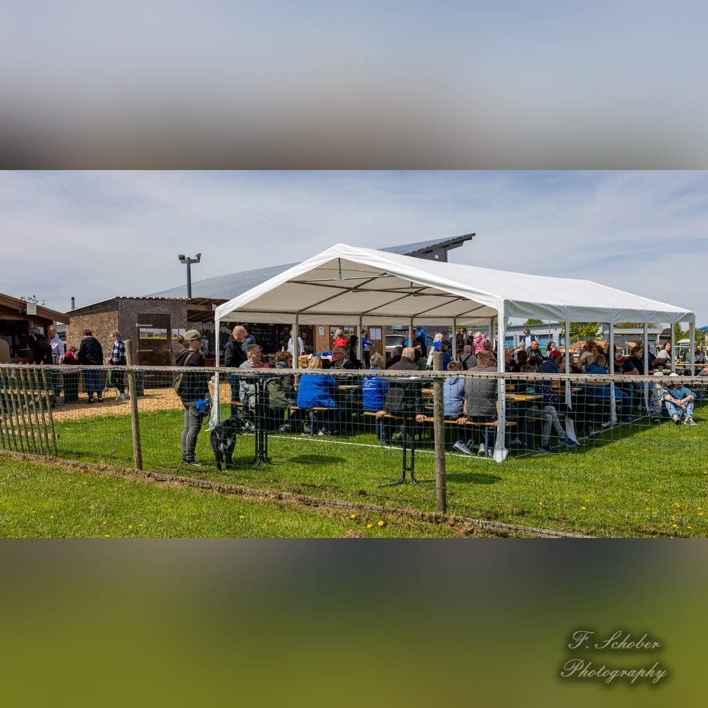 hundesporttag 3