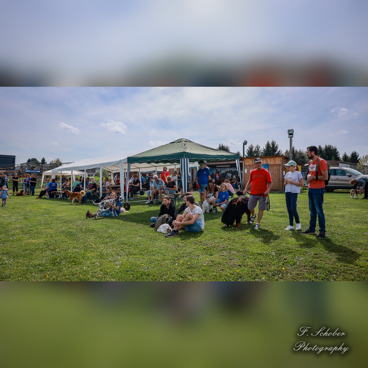 hundesporttag 5