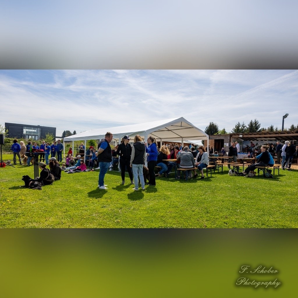hundesporttag 5