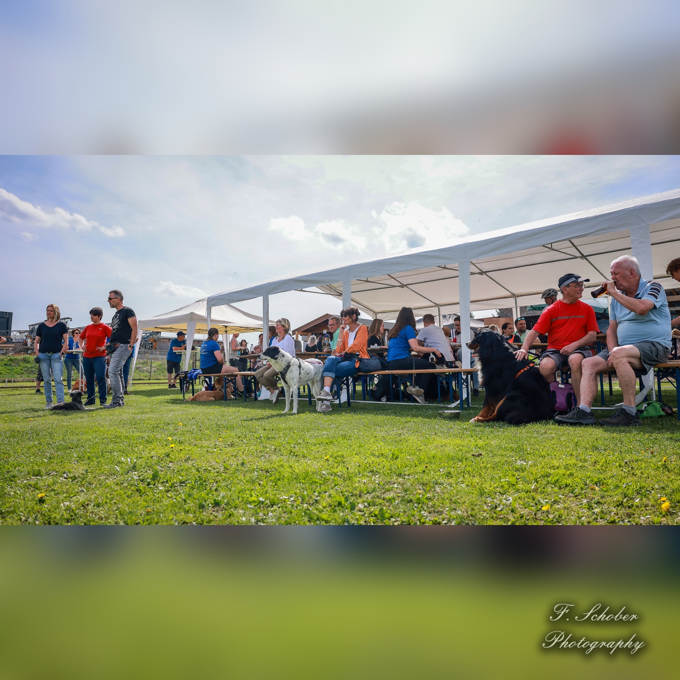 hundesporttag 6