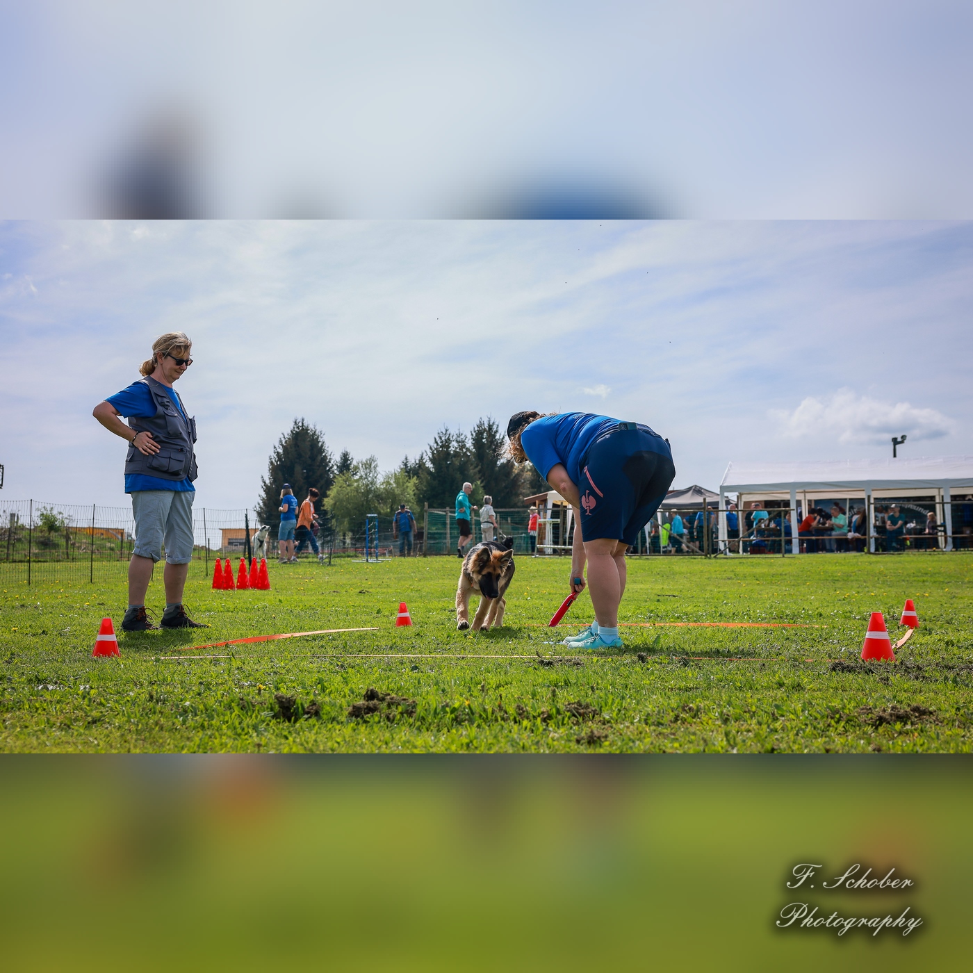 hundesporttag 8