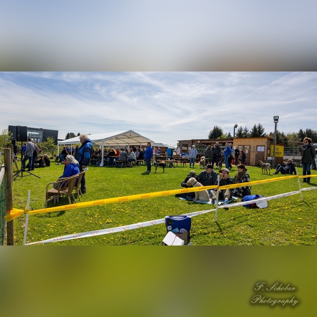 hundesporttag 8