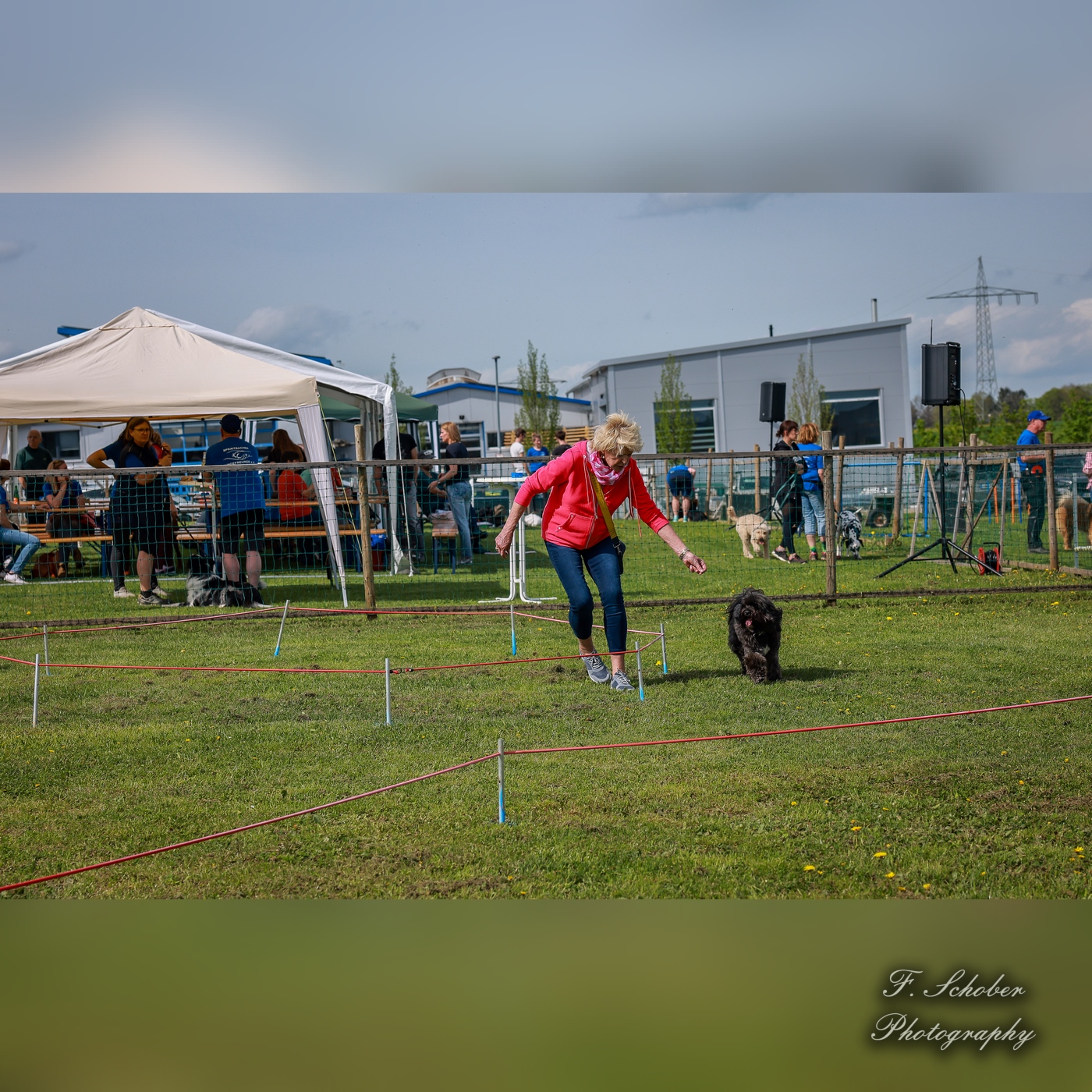hundesporttag 9