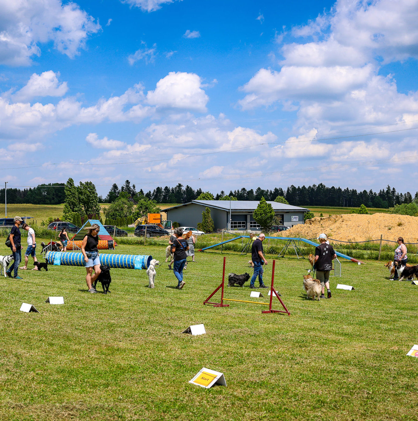 titelbild spraitbacher hundefreunde - Trainingseinblick
