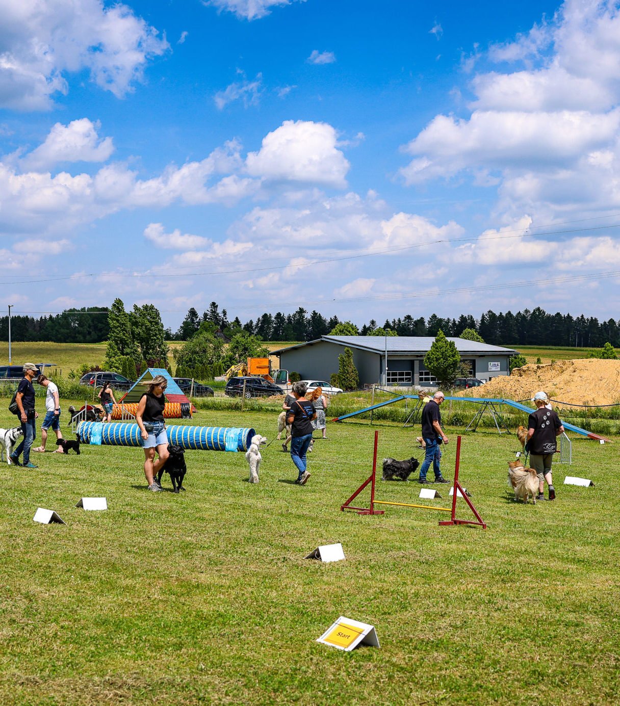 titelbild spraitbacher hundefreunde - Trainingseinblick