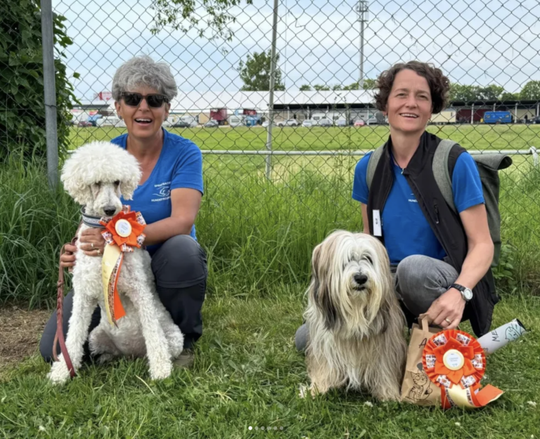 rally obedience turnier