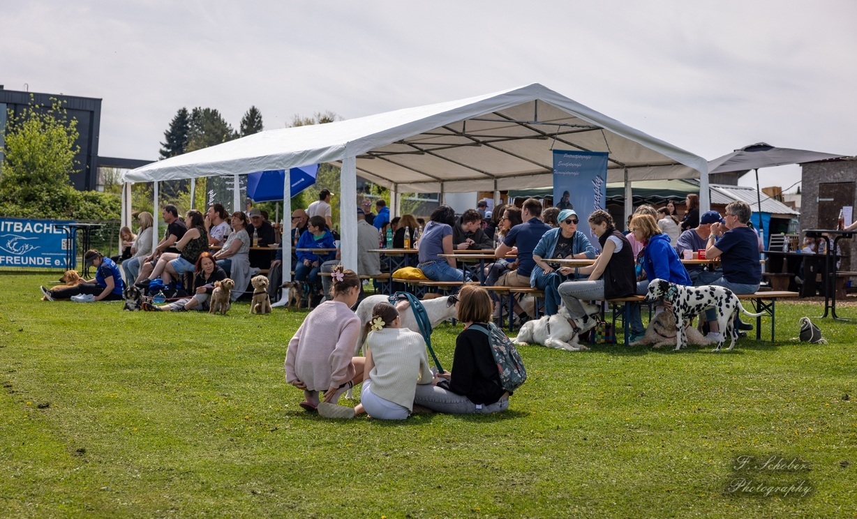 hundesporttag1