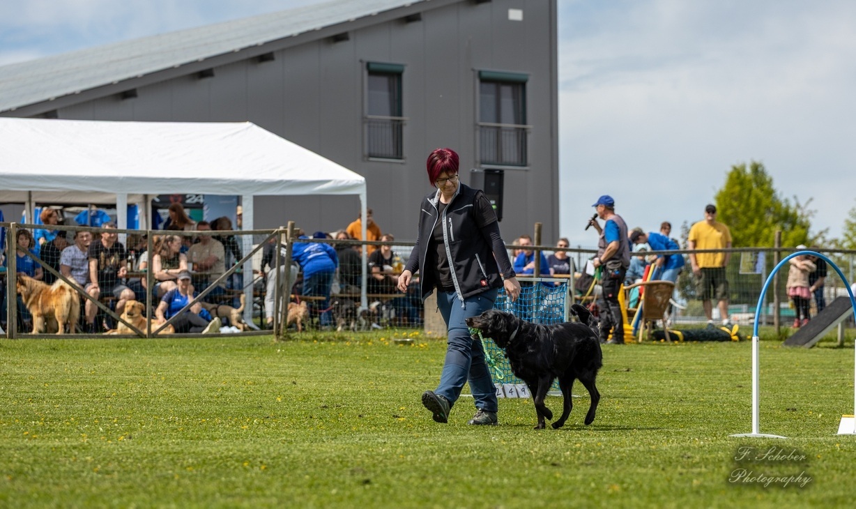 hundesporttag5