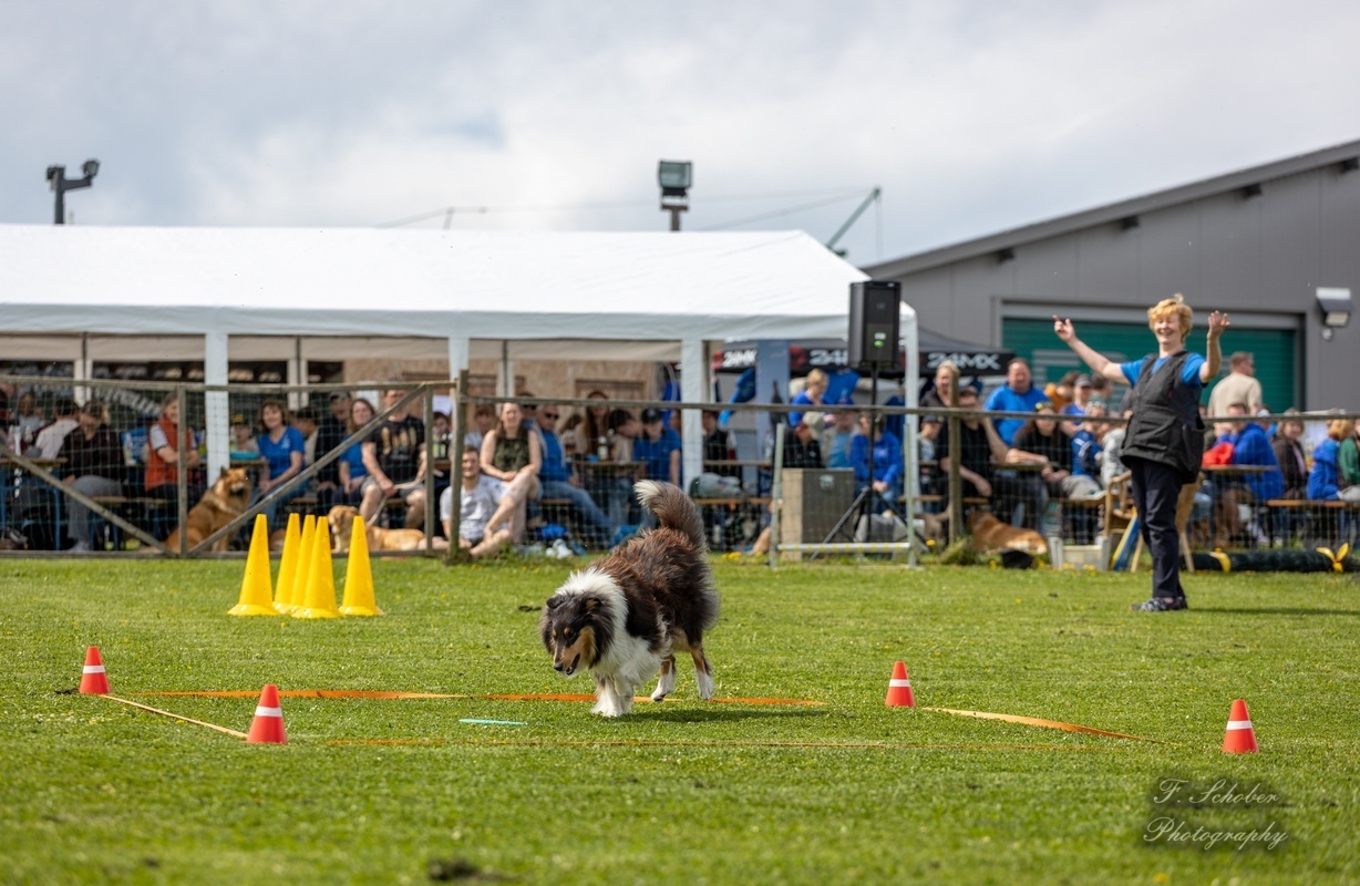 hundesporttag7