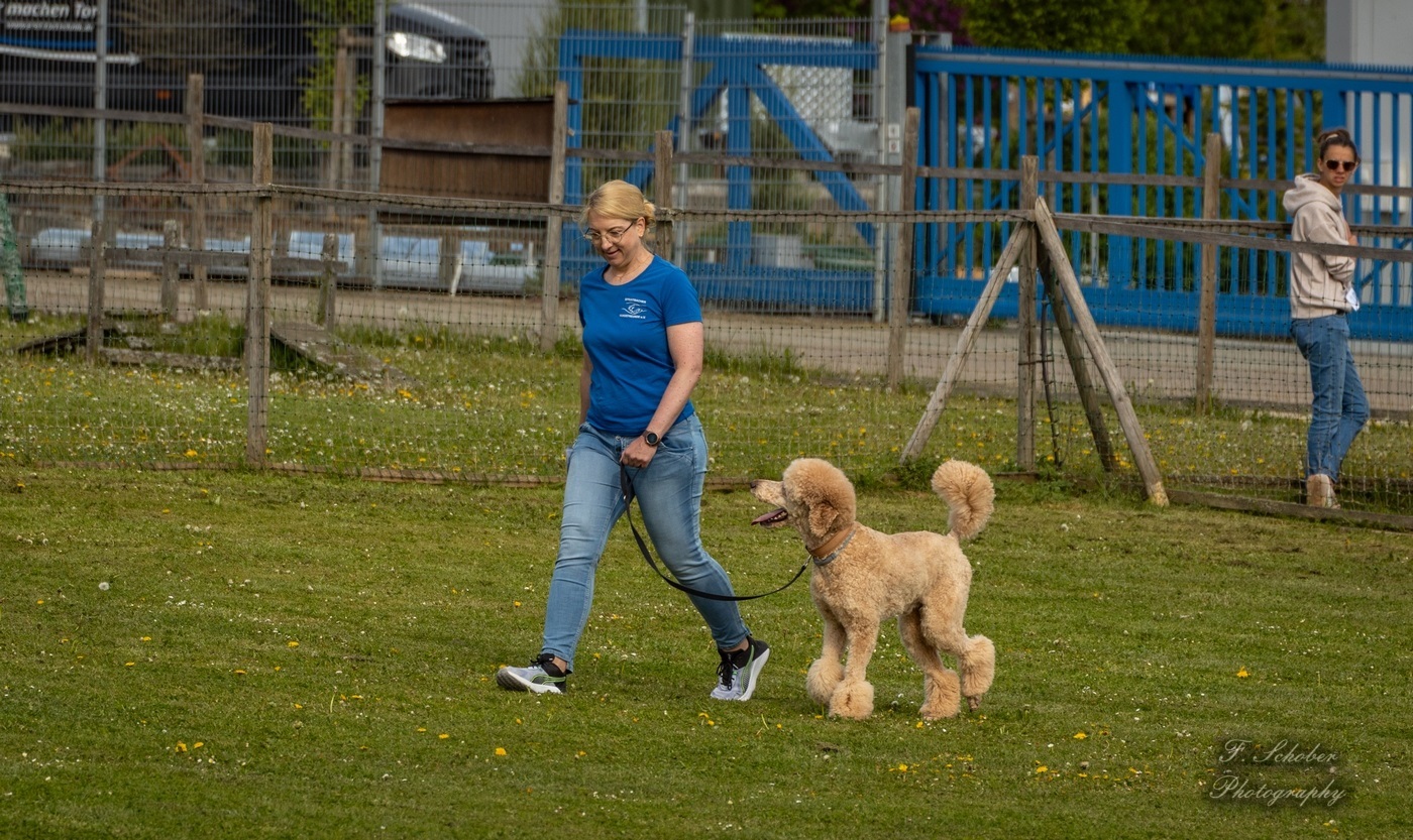 Teamtest-Prüfung und Kreisgruppenmeisterschaft der KG 08 teamtest5